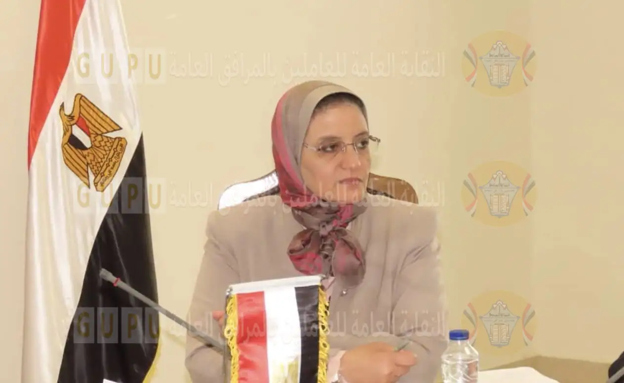 رئيس المصرية لنقل الكهرباء