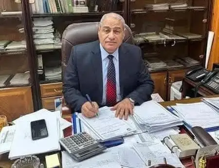 جنوب الدلتا لتوزيع الكهرباء 