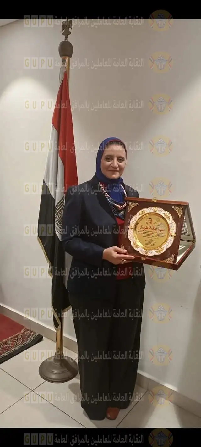 المصرية لنقل الكهرباء